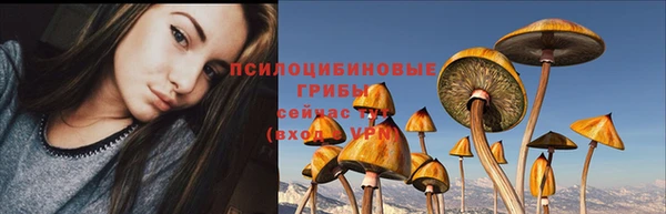 мяу мяу мука Яранск