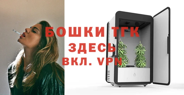 дмт Ельня