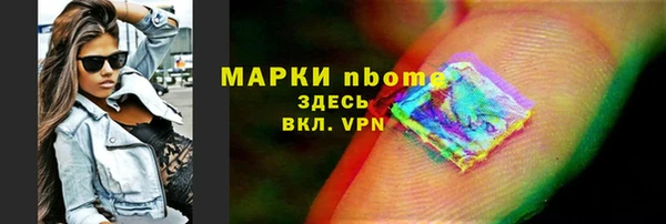дмт Ельня