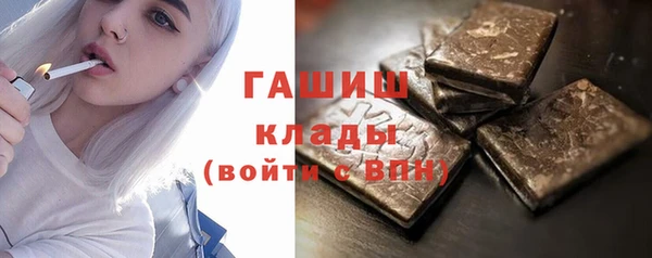 дмт Ельня