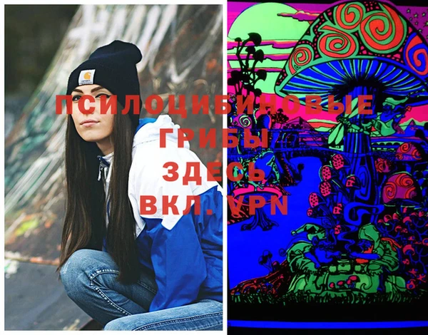 дмт Ельня