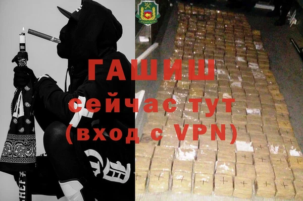дмт Ельня