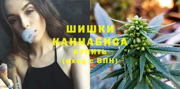 кокс Елизово