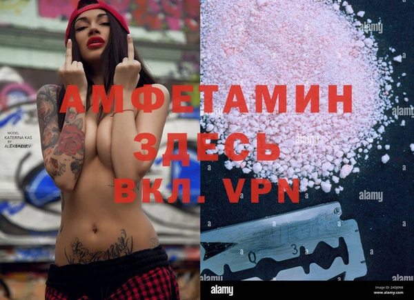 дмт Ельня