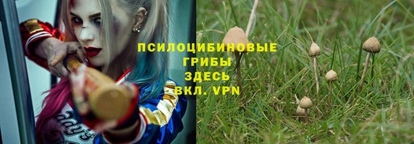 кокс Елизово
