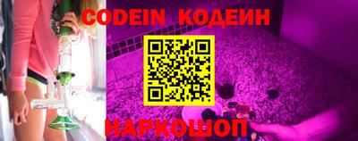 прущие грибы Новозыбков