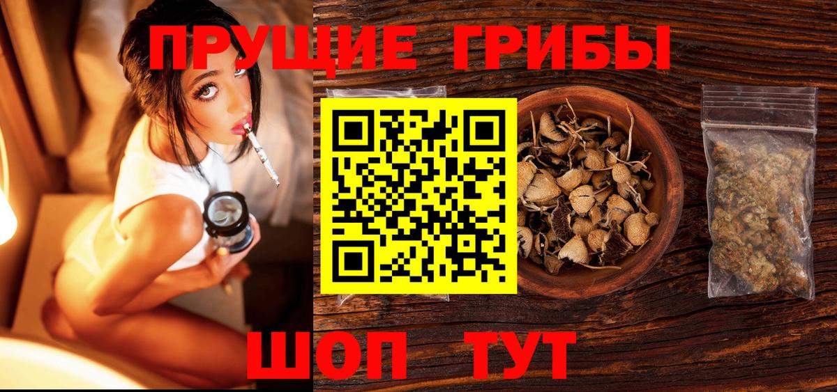 Галлюциногенные грибы Cubensis  Нурлат 