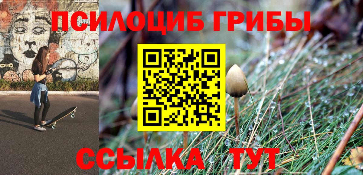 Псилоцибиновые грибы мухоморы Нурлат